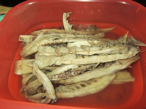 解密特色竹笋 从山林到餐桌的自然馈赠