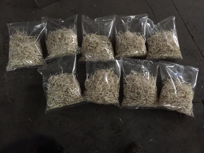 蔬菜豆芽酸笋全自动称重包装机厂家直销——竹笋加工的高效之选