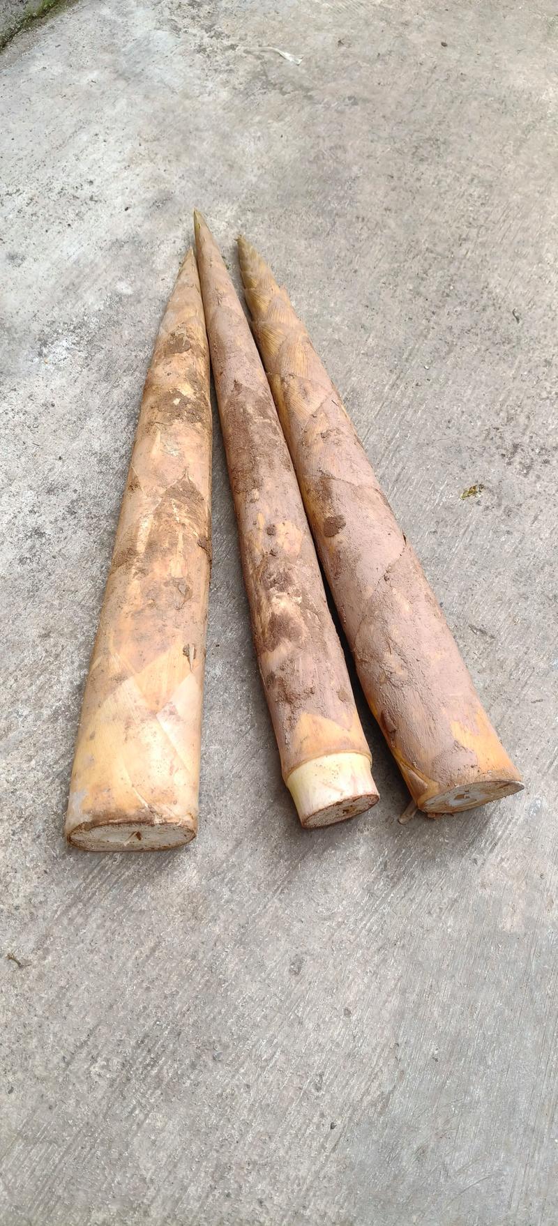 新鲜竹笋怎么做才好吃？去涩增鲜的3个关键步骤，脆嫩不苦